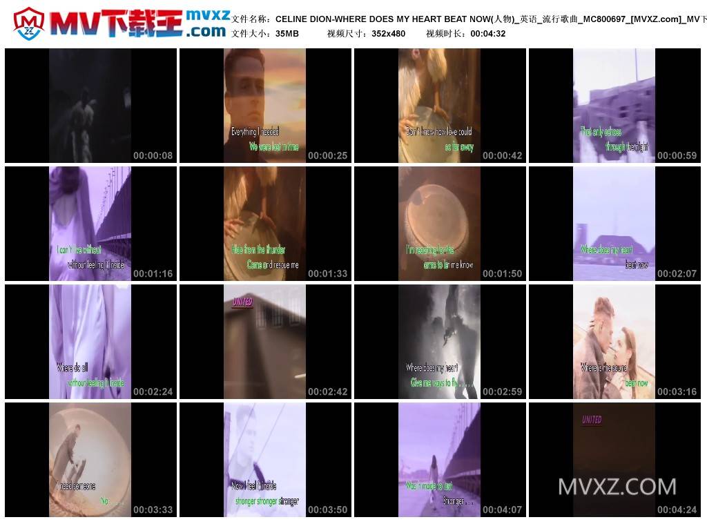 CELINE DION-WHERE DOES MY HEART BEAT NOW(人物)_英语_流行歌曲_MC800697